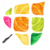 SOAPCE