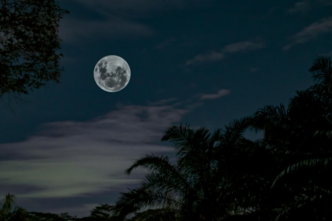 Serene view of a full moon illuminating a tropical forest at night in Indonesia.