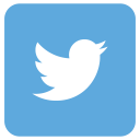 Twitter Icon
