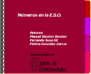 numeroseso-300x243