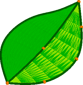 Fig 2 Superficie Hoja