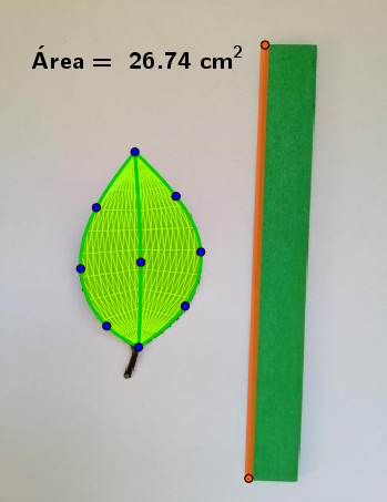 Fig 5 Camelio