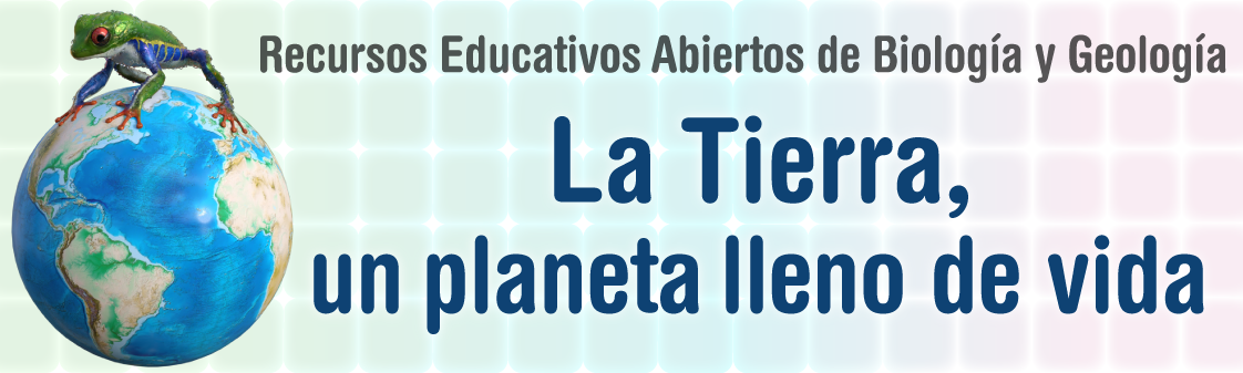 La tierra, un planeta lleno de vida
