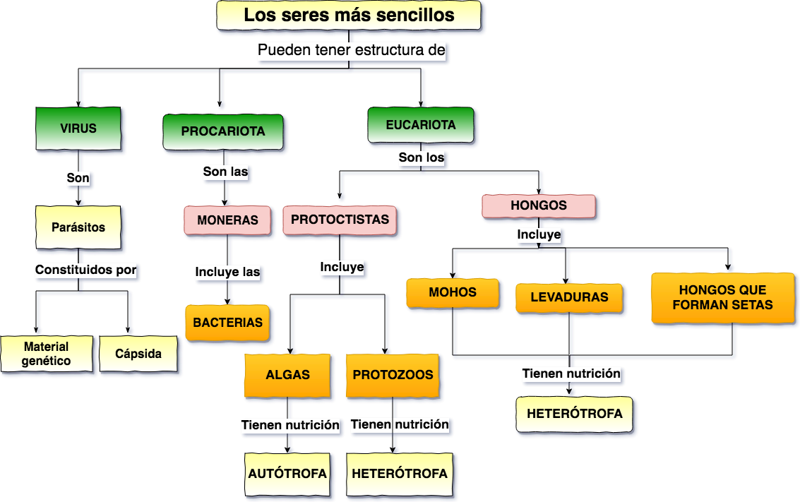 mapaconceptual micoorganismos2