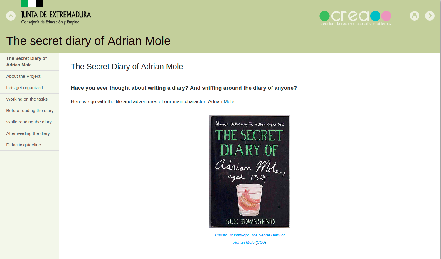 the secretdiary01