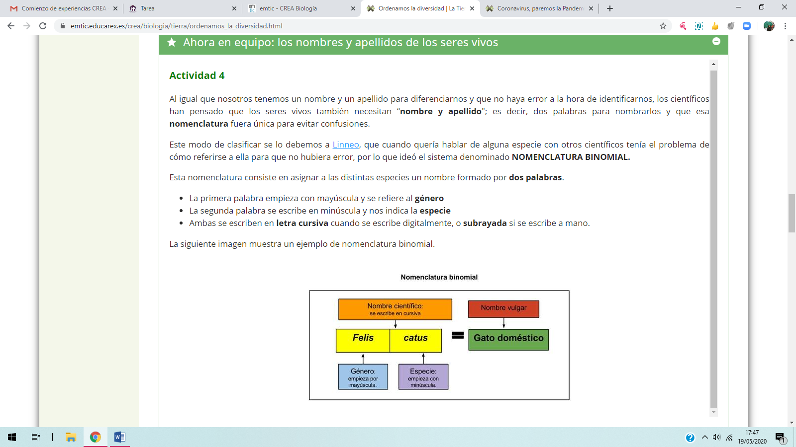 experiencia imagen 4