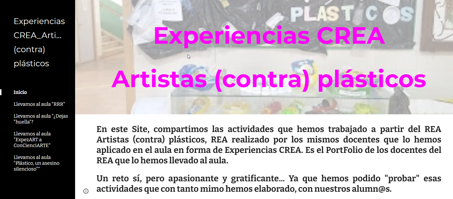 porfolio docentes rea artistas