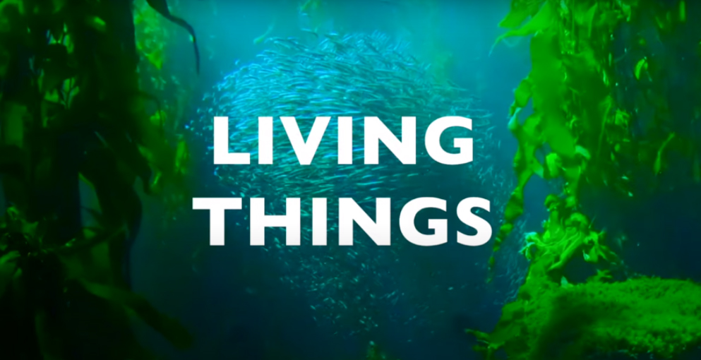 living things