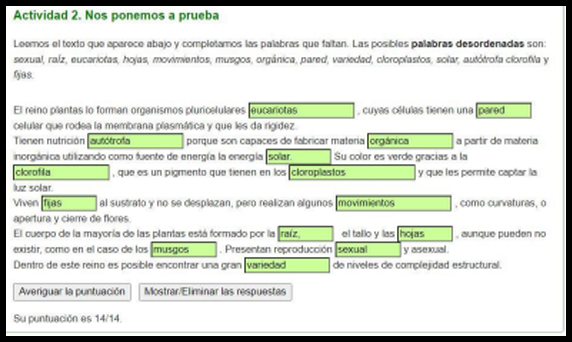 actividad plantas2