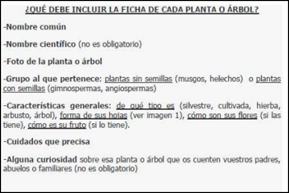 ficha árbol2