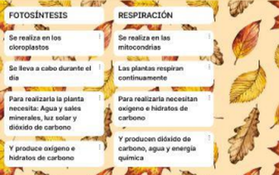padlet3
