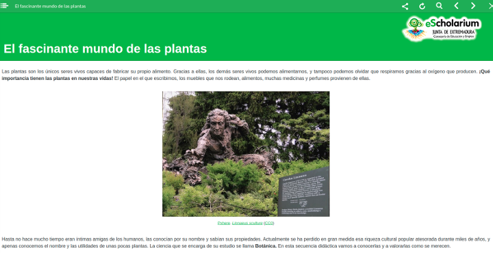 rea plantas portada