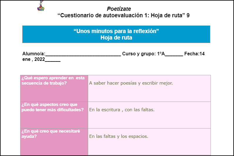 Cuestionario borde1