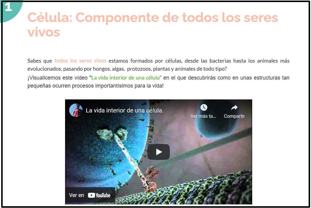 Célula: componente de todos los seres vivos