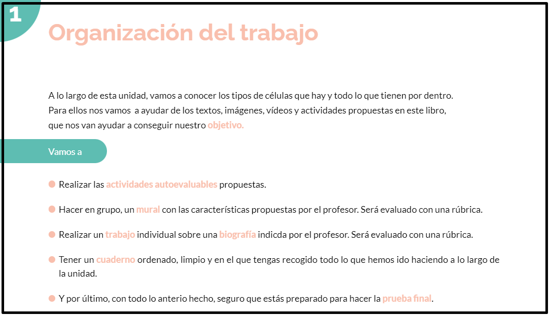 Organización del trabajo