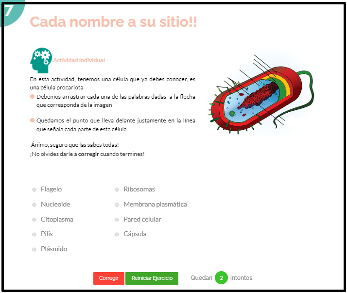 Cada nombre a su sitio