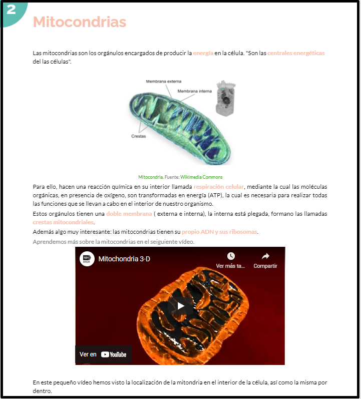 Mitocondrias