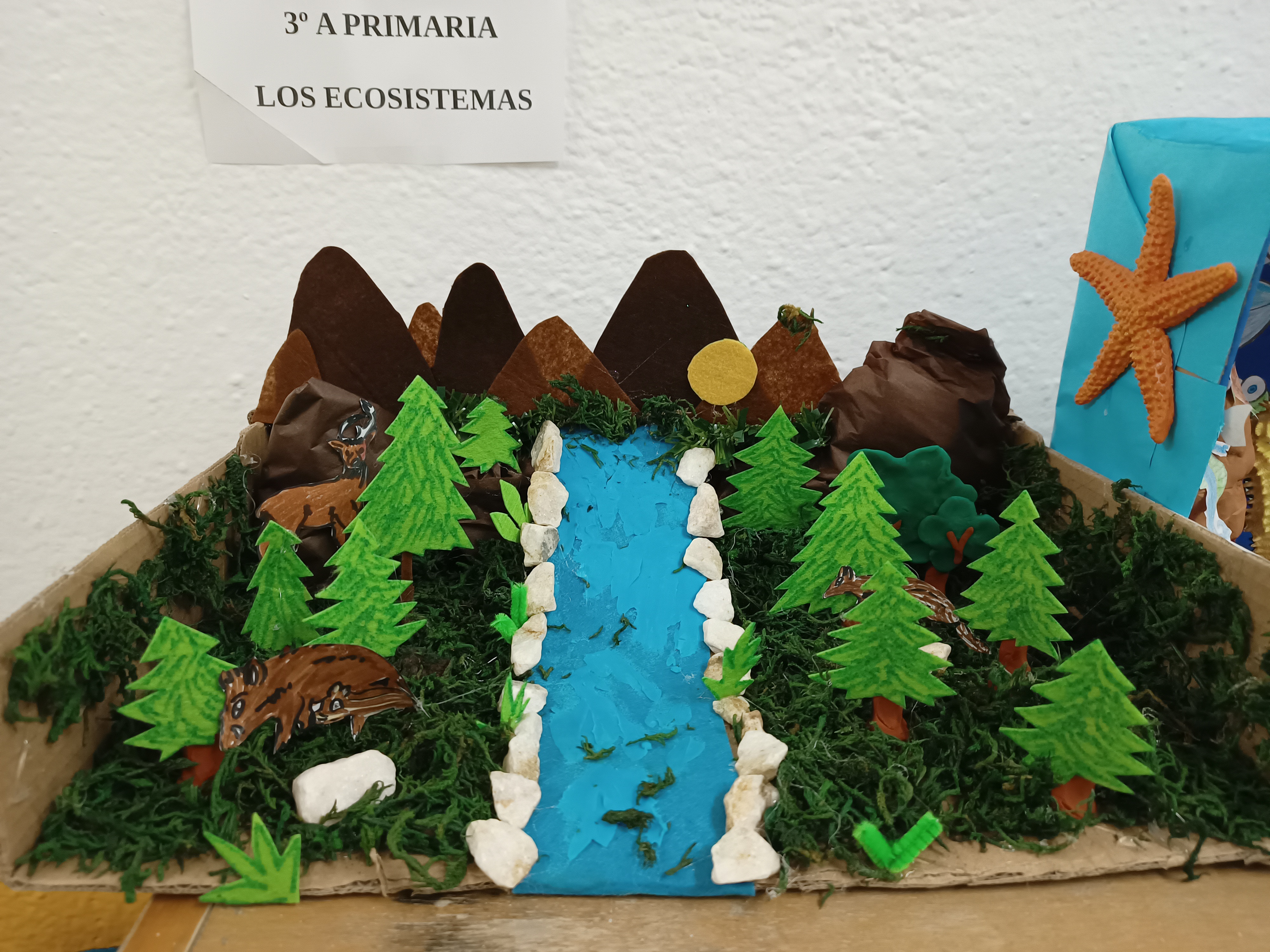 Imagen de un ecosistema
