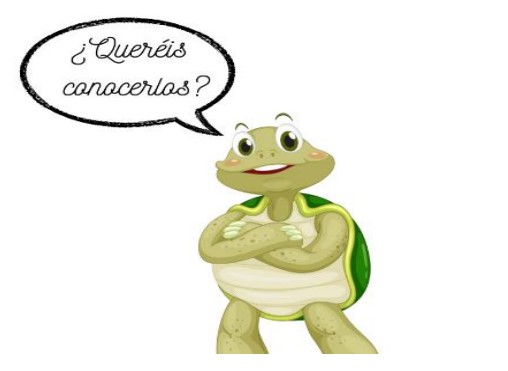 agua17