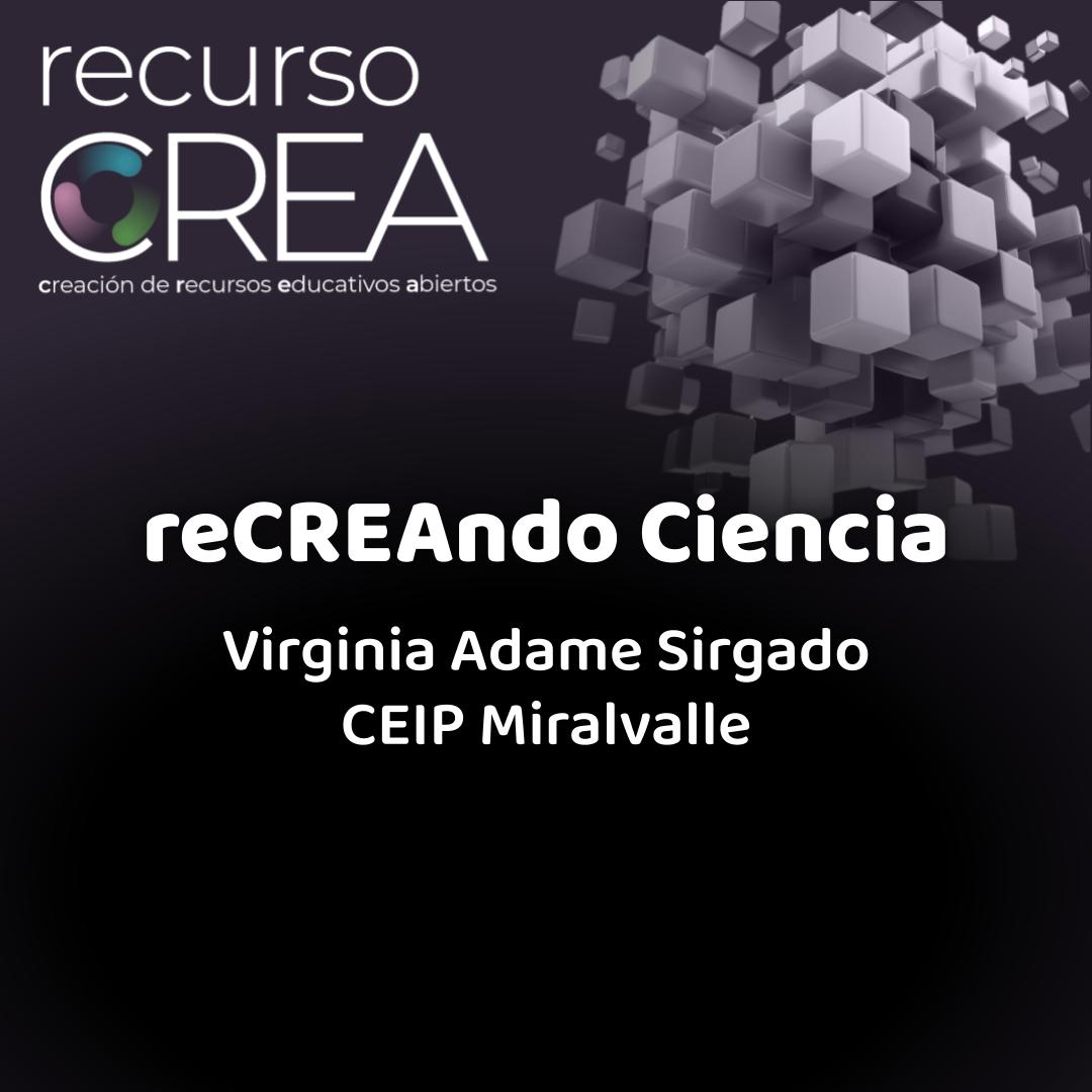 imagen de la experiencia