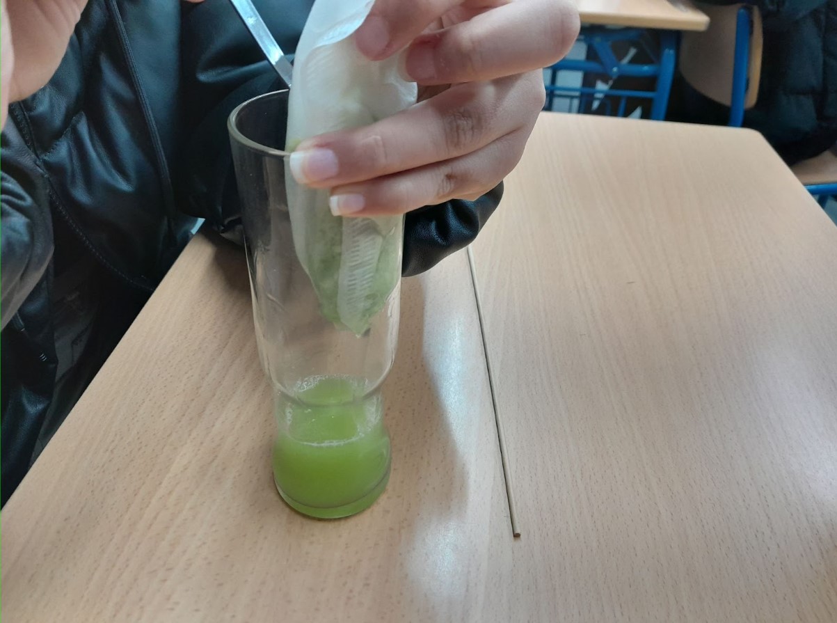 Imagen de experimentos realizados por el alumnado